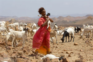 Afrika Film Festival 2026
